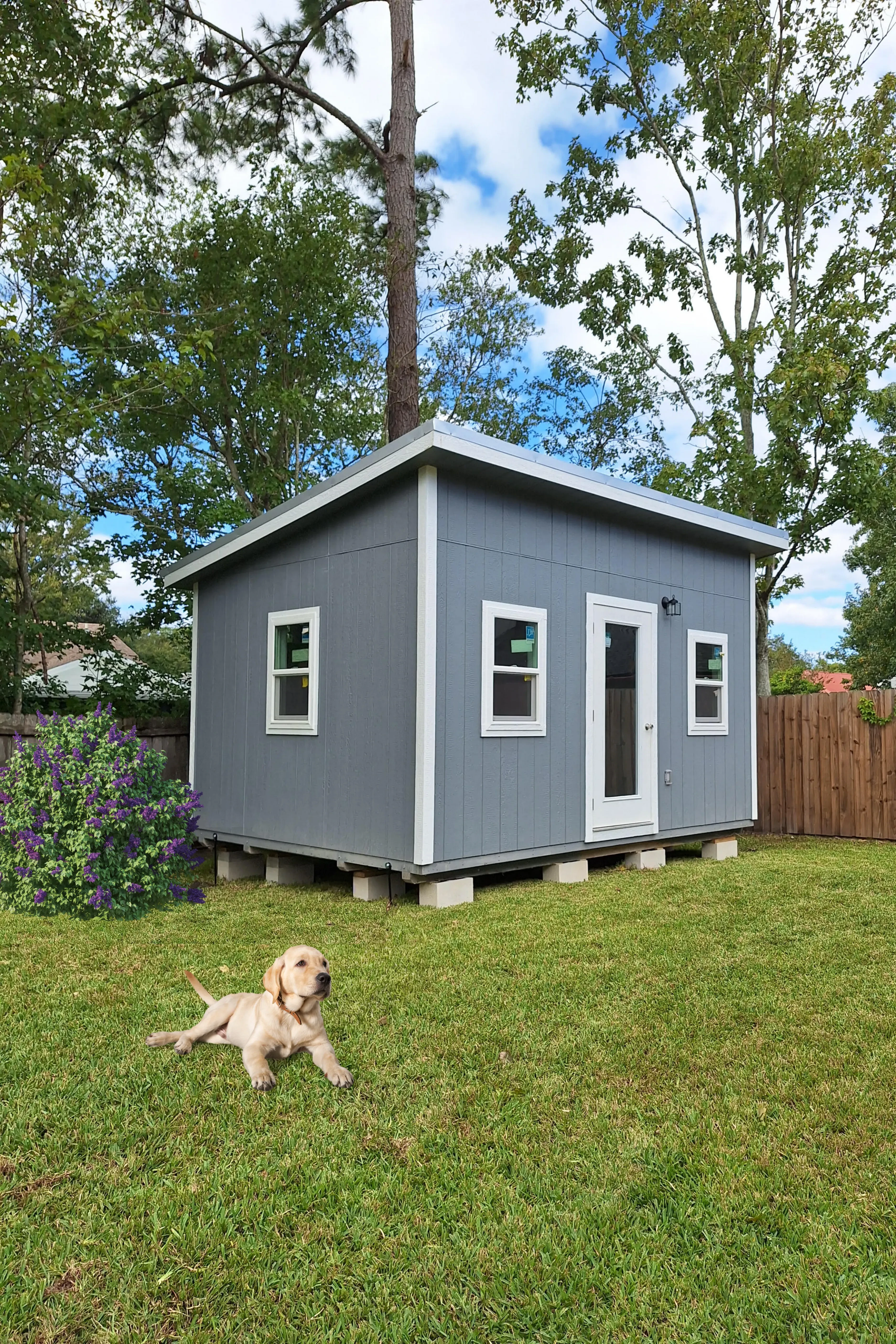 Urban style shed set up in the yard