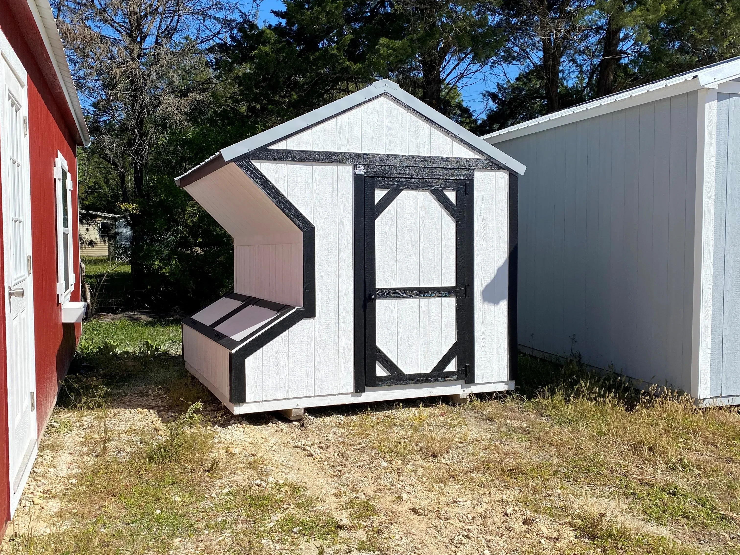 Exterior of an 8x8 white with black trim chicken coop with a single wood door