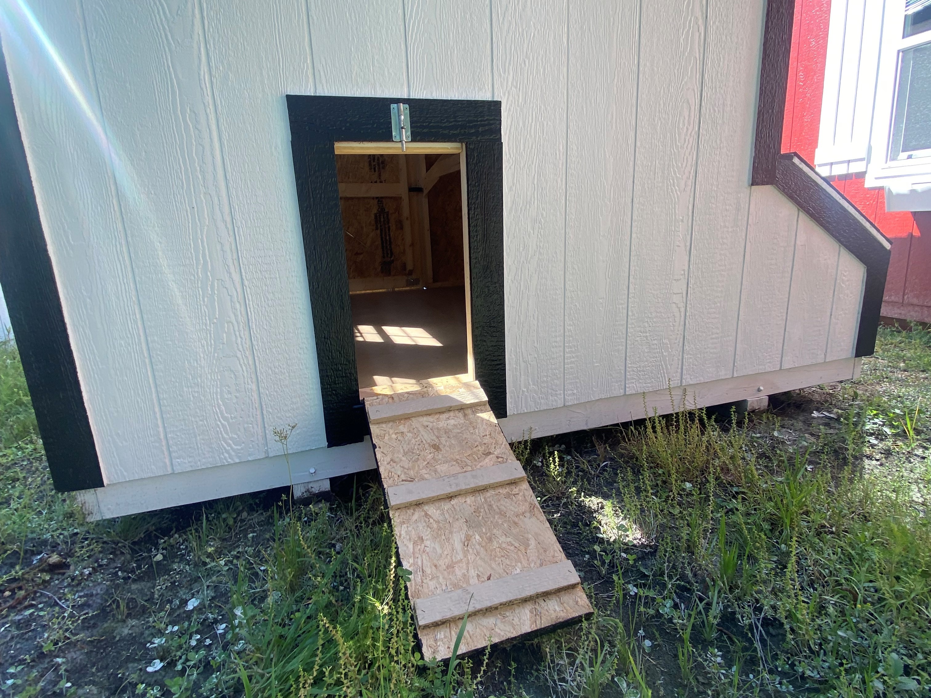 Drop down chicken access on back of 8x8 white with black trim chicken coop