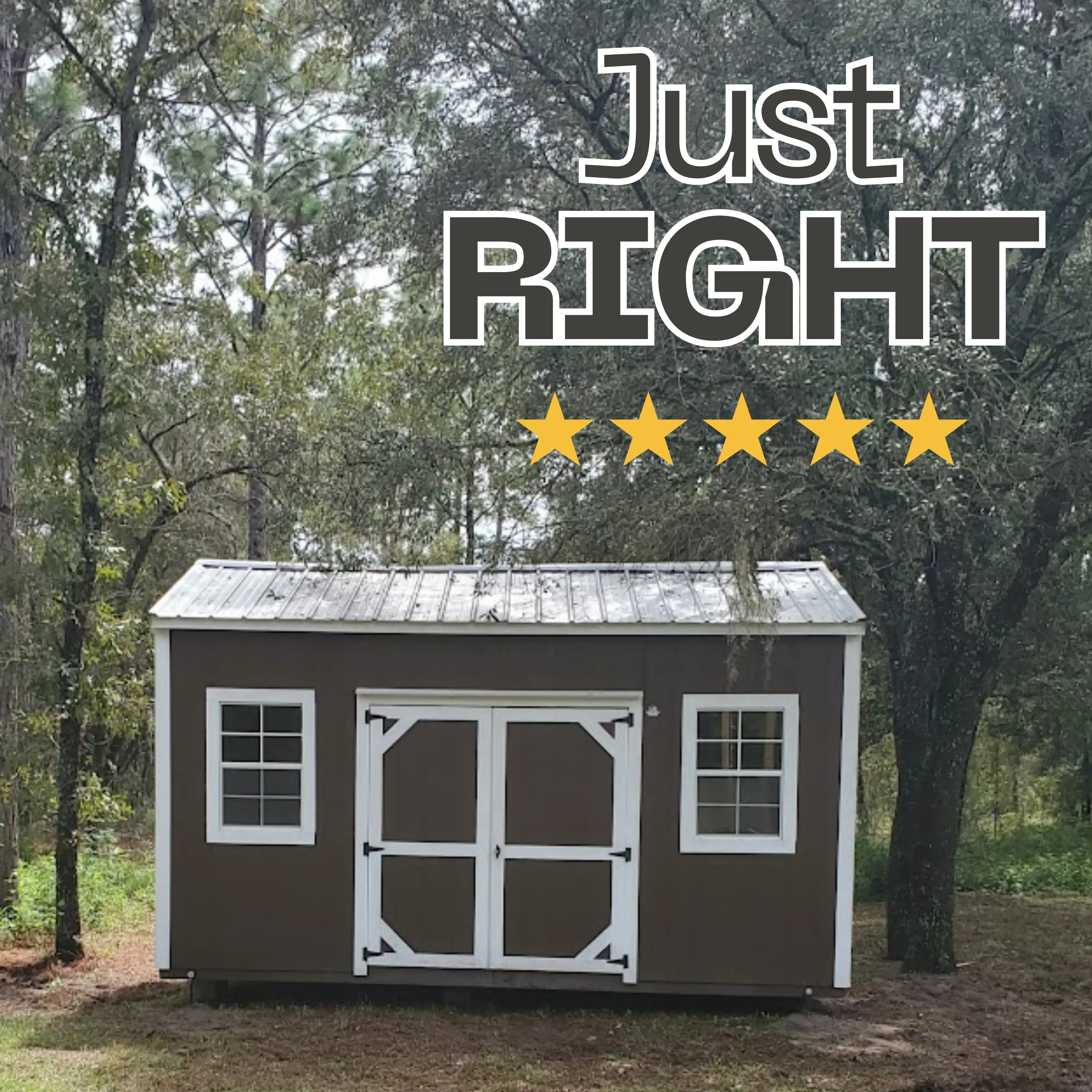 Brown shed blending in with its background of trees- make it match!