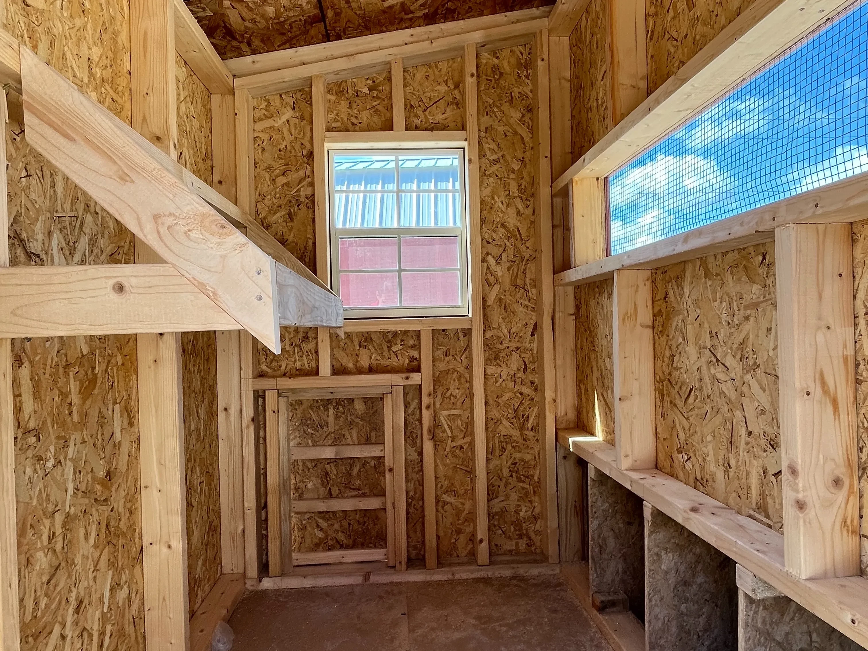 Interior of a 4x6 chicken coop showing windows, roosting bars, and layer boxes
