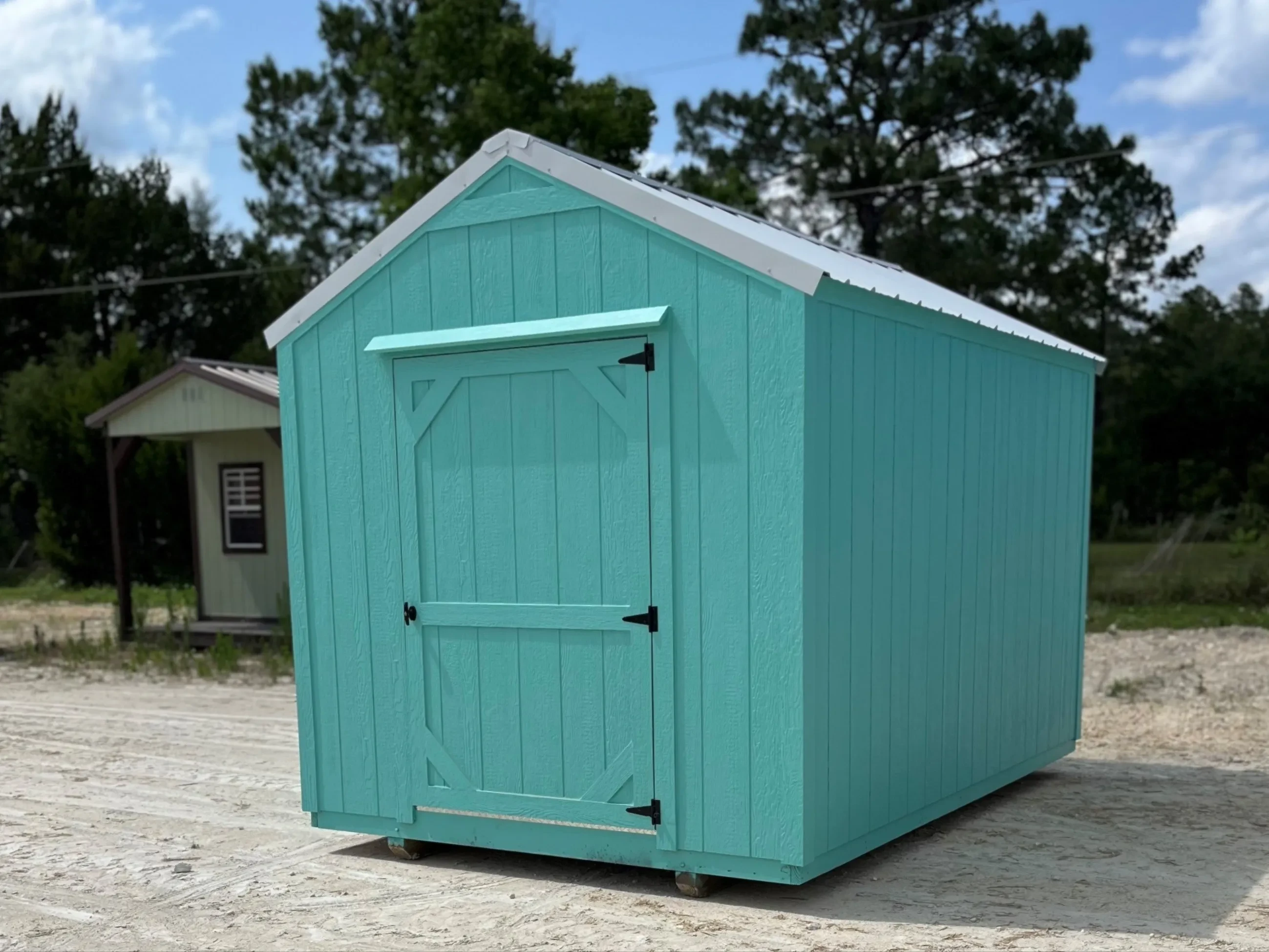 blue economy wood garden shed with a white roof