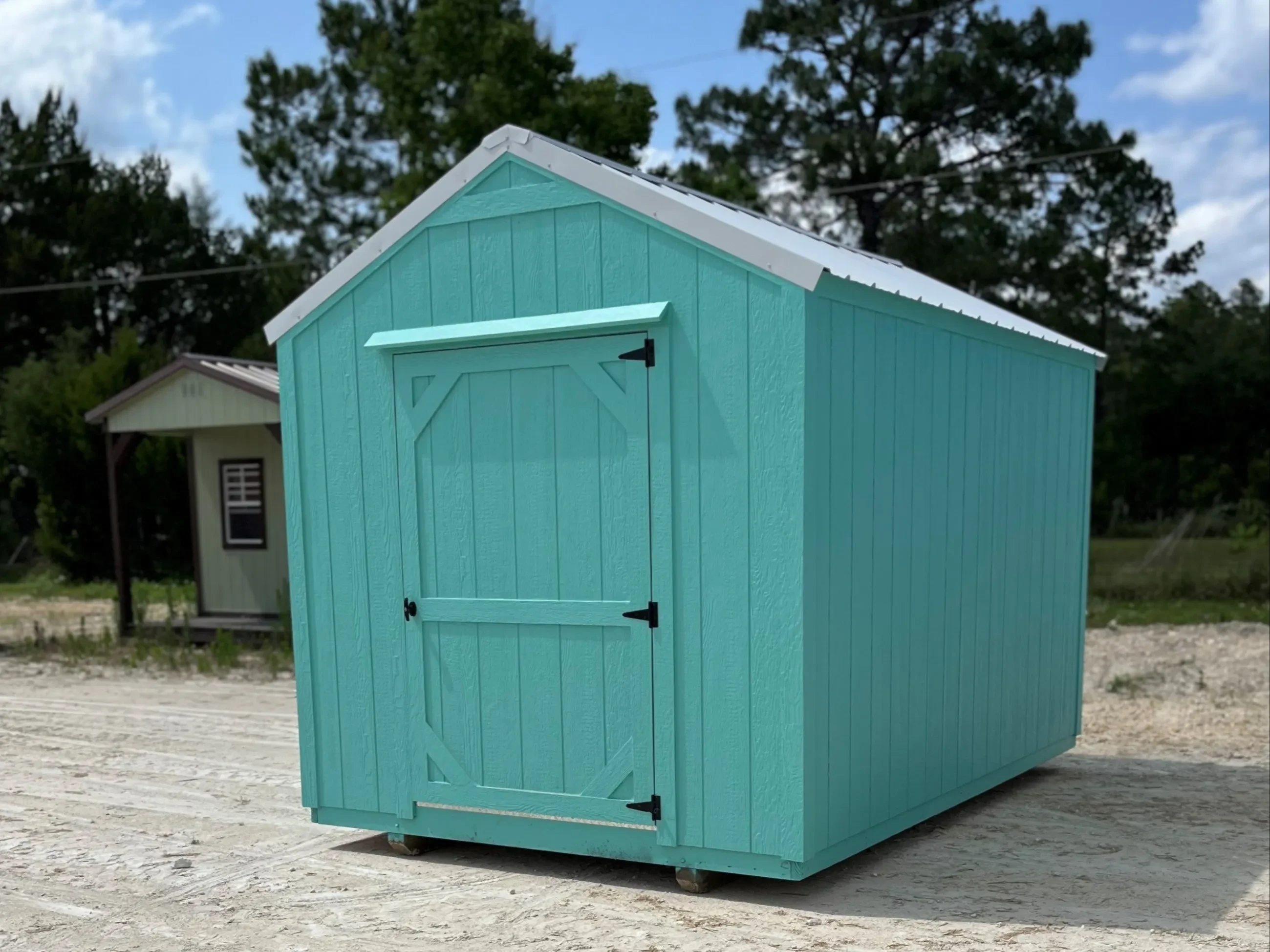 blue economy wood garden shed with a white roof